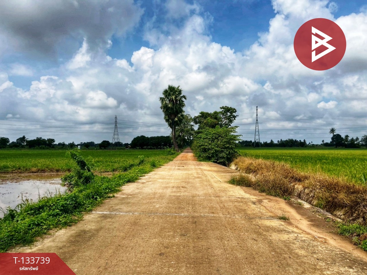 ขายที่ดิน เนื้อที่ 3 ไร่ 1 งาน 5.9 ตร.วา สรรพยา ชัยนาท 2