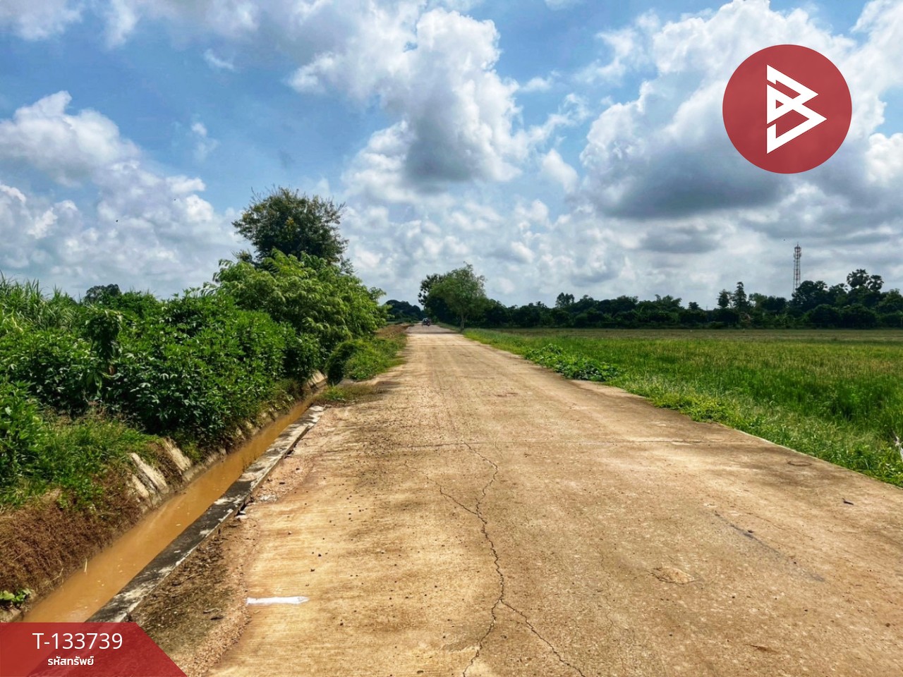 ขายที่ดิน เนื้อที่ 3 ไร่ 1 งาน 5.9 ตร.วา สรรพยา ชัยนาท 3