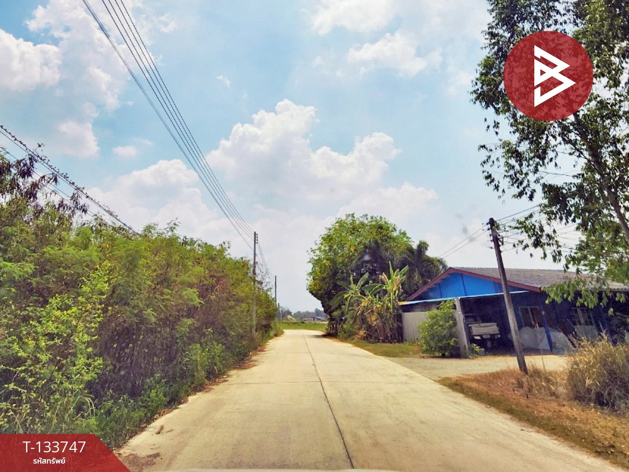 ขายที่ดิน เนื้อที่ 4 ไร่ 3 งาน 51 ตร.วา บ้านบึง ชลบุรี 8