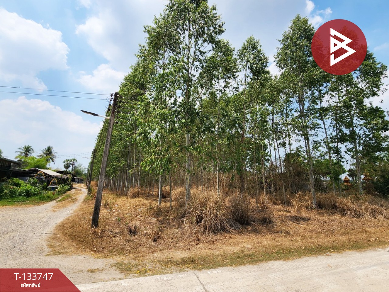 ขายที่ดิน เนื้อที่ 4 ไร่ 3 งาน 51 ตร.วา บ้านบึง ชลบุรี 3