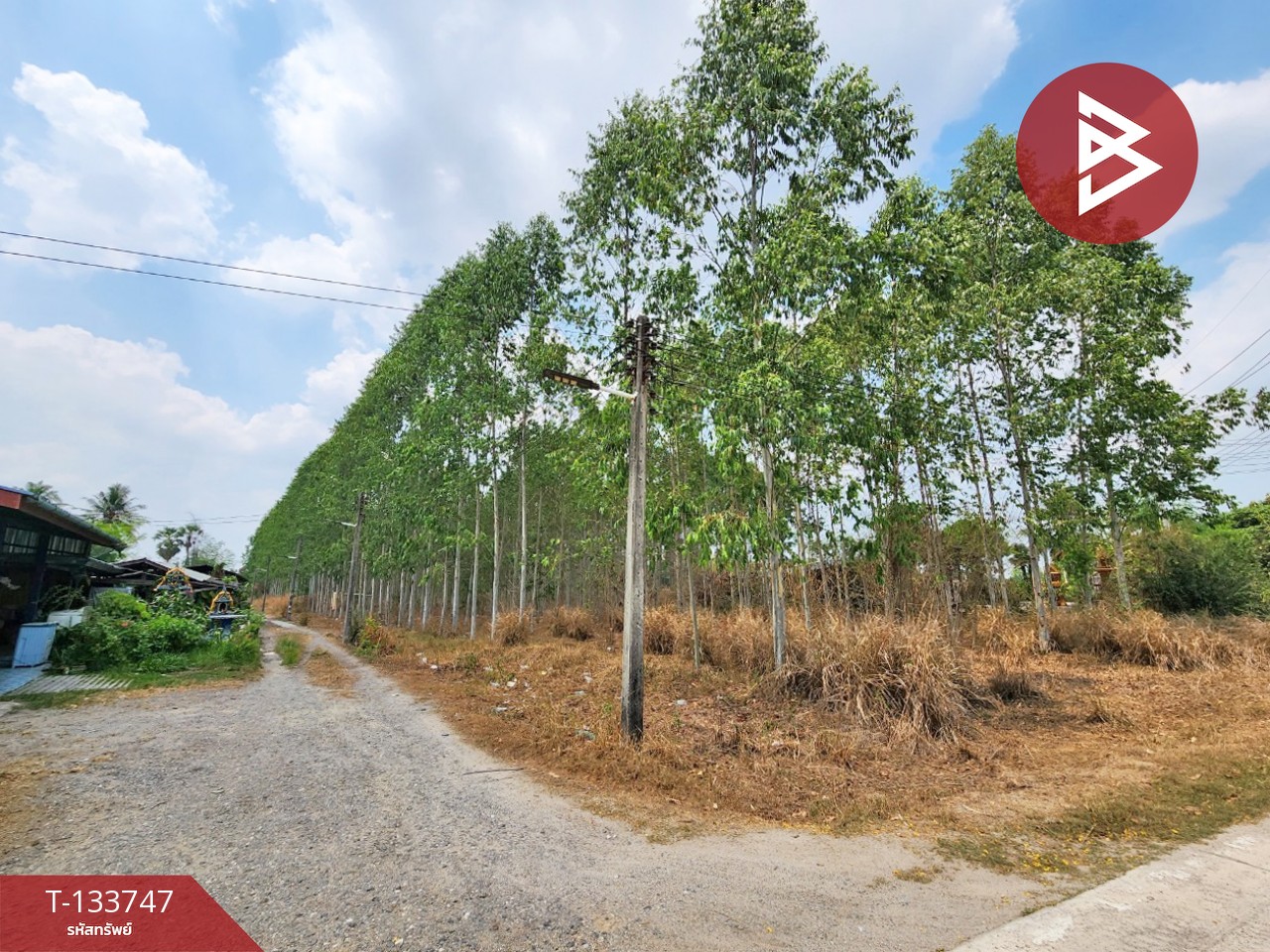 ขายที่ดิน เนื้อที่ 4 ไร่ 3 งาน 51 ตร.วา บ้านบึง ชลบุรี 9