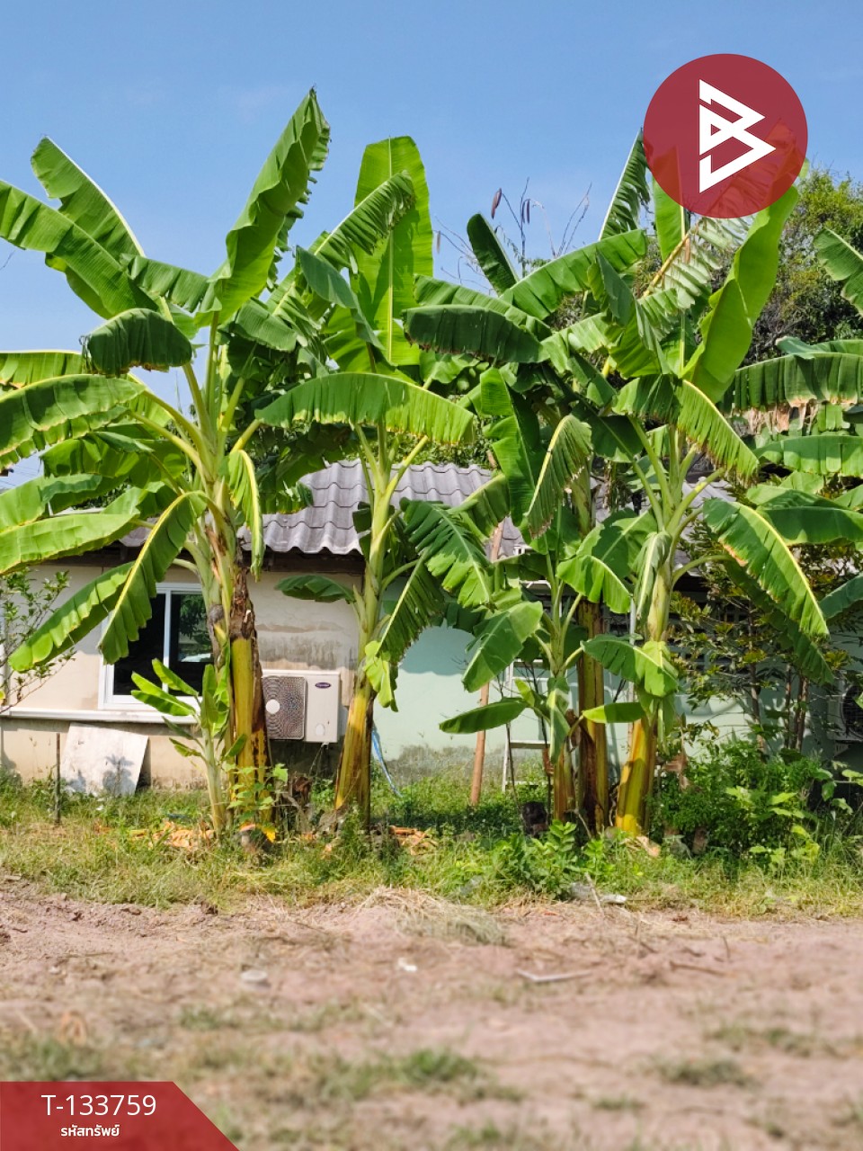 ขายที่ดิน เนื้อที่ 2 ไร่ 3 งาน หนองปลาไหล สระบุรี 8