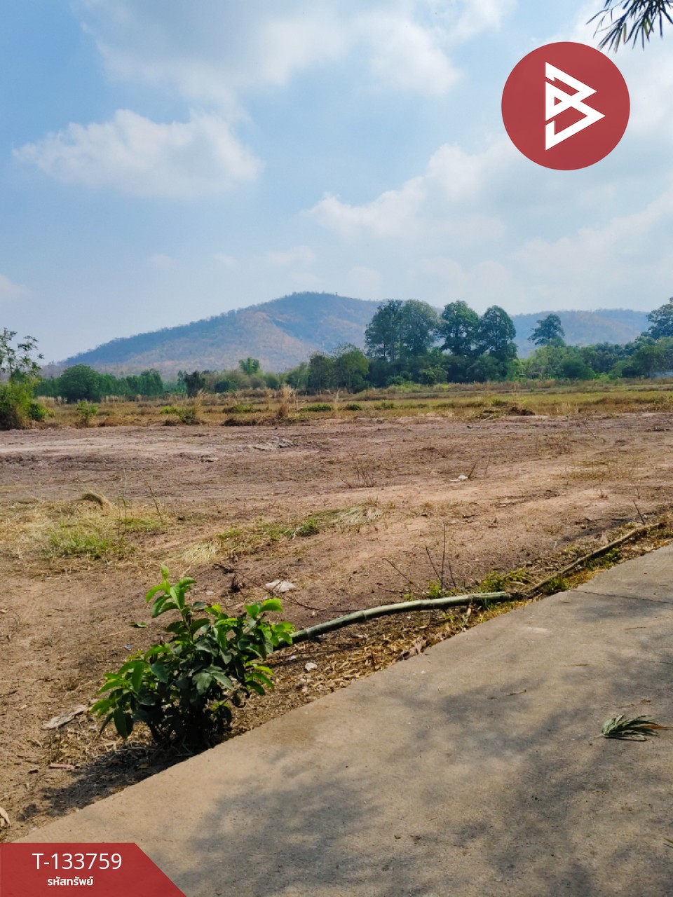 ขายที่ดิน เนื้อที่ 2 ไร่ 3 งาน หนองปลาไหล สระบุรี 3