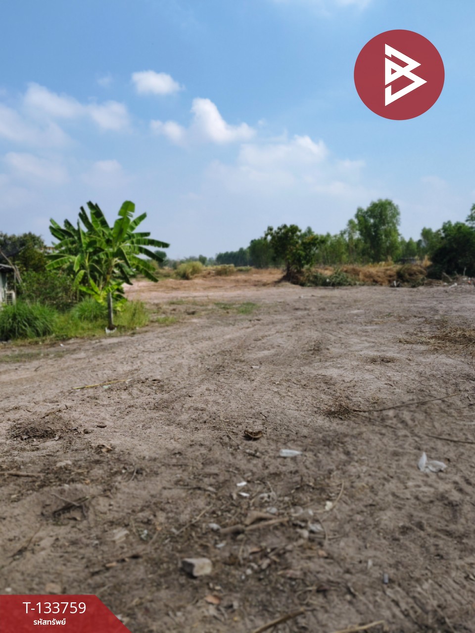 ขายที่ดิน เนื้อที่ 2 ไร่ 3 งาน หนองปลาไหล สระบุรี 5