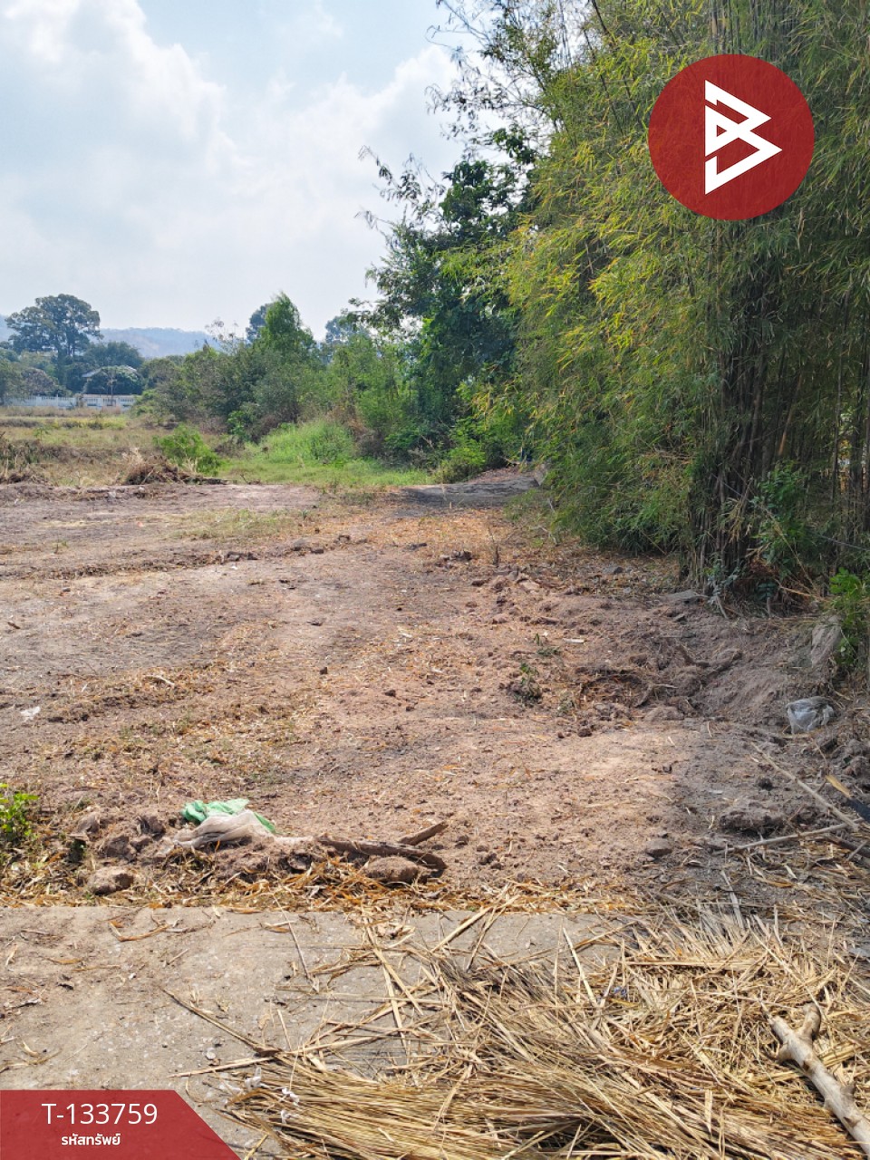 ขายที่ดิน เนื้อที่ 2 ไร่ 3 งาน หนองปลาไหล สระบุรี 4