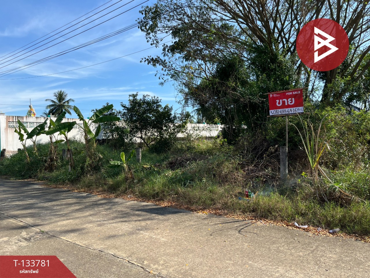 ขายที่ดินสวย เนื้อที่ 100 ตารางวา สามพราน นครปฐม ใกล้ถนนเพชรเกษม 8