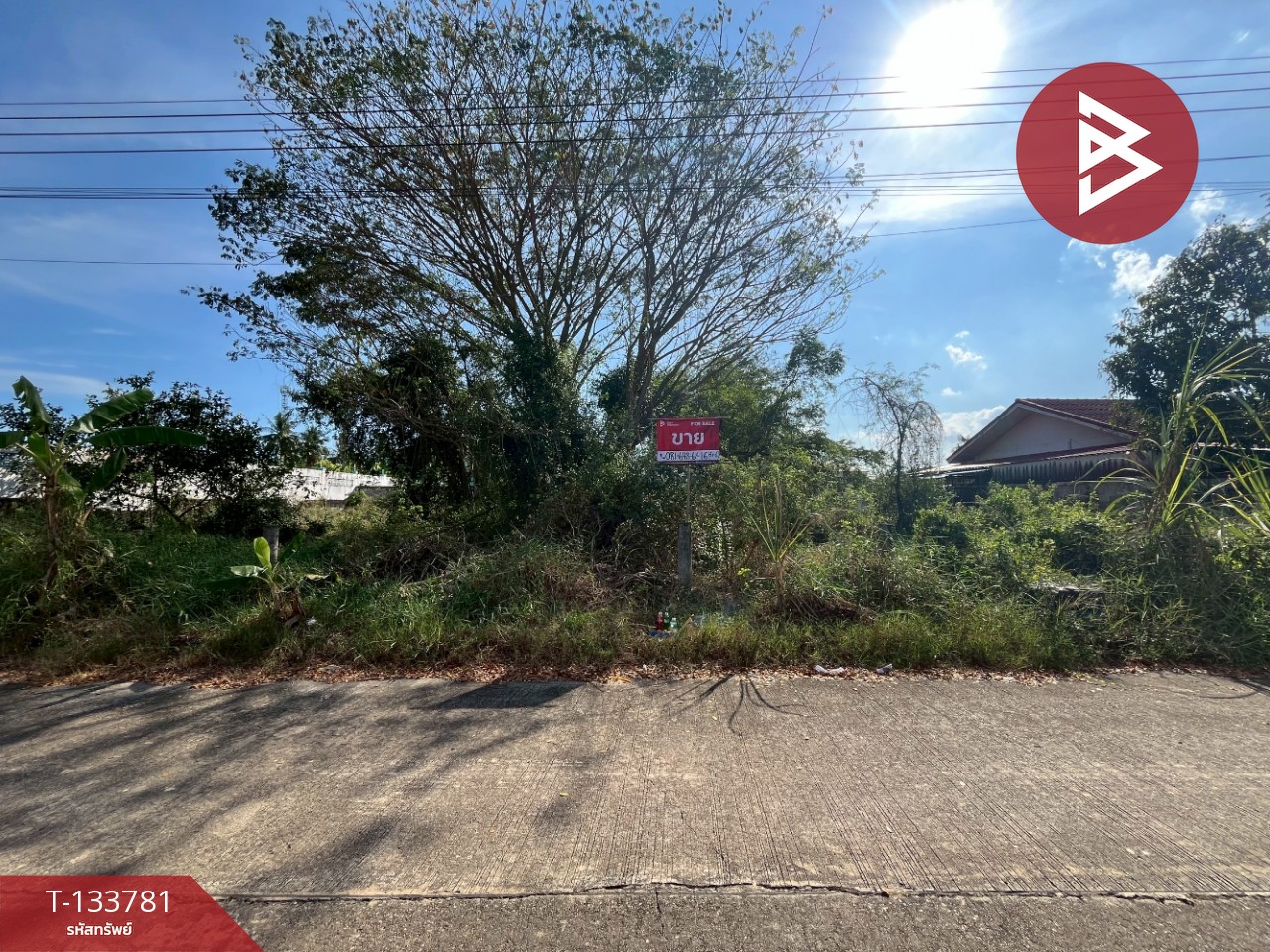 ขายที่ดินสวย เนื้อที่ 100 ตารางวา สามพราน นครปฐม ใกล้ถนนเพชรเกษม 3