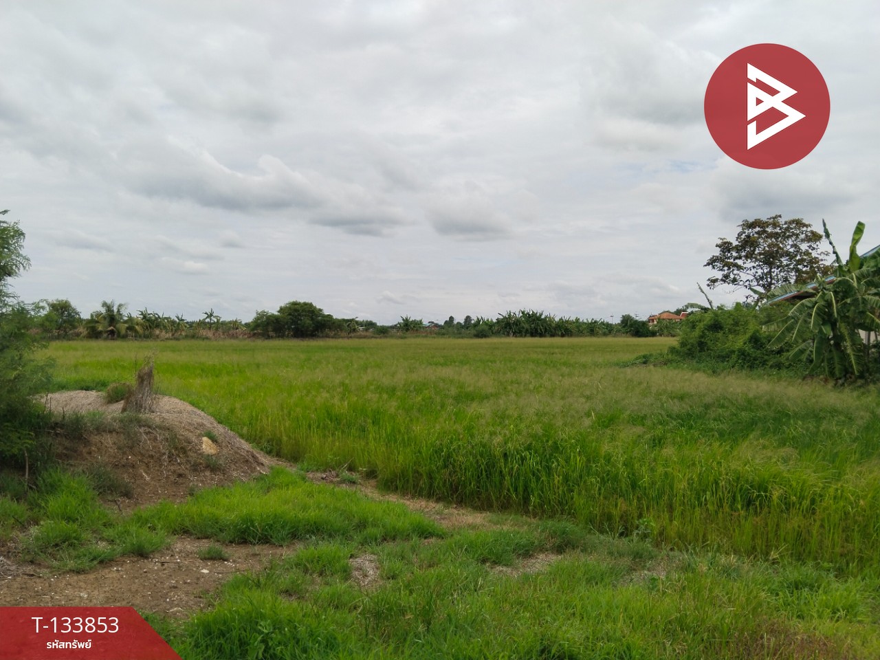 ขายที่ดิน เนื้อที่ 17 ไร่ 2 งาน 9.2 ตร.วา บางเลน นครปฐม 1