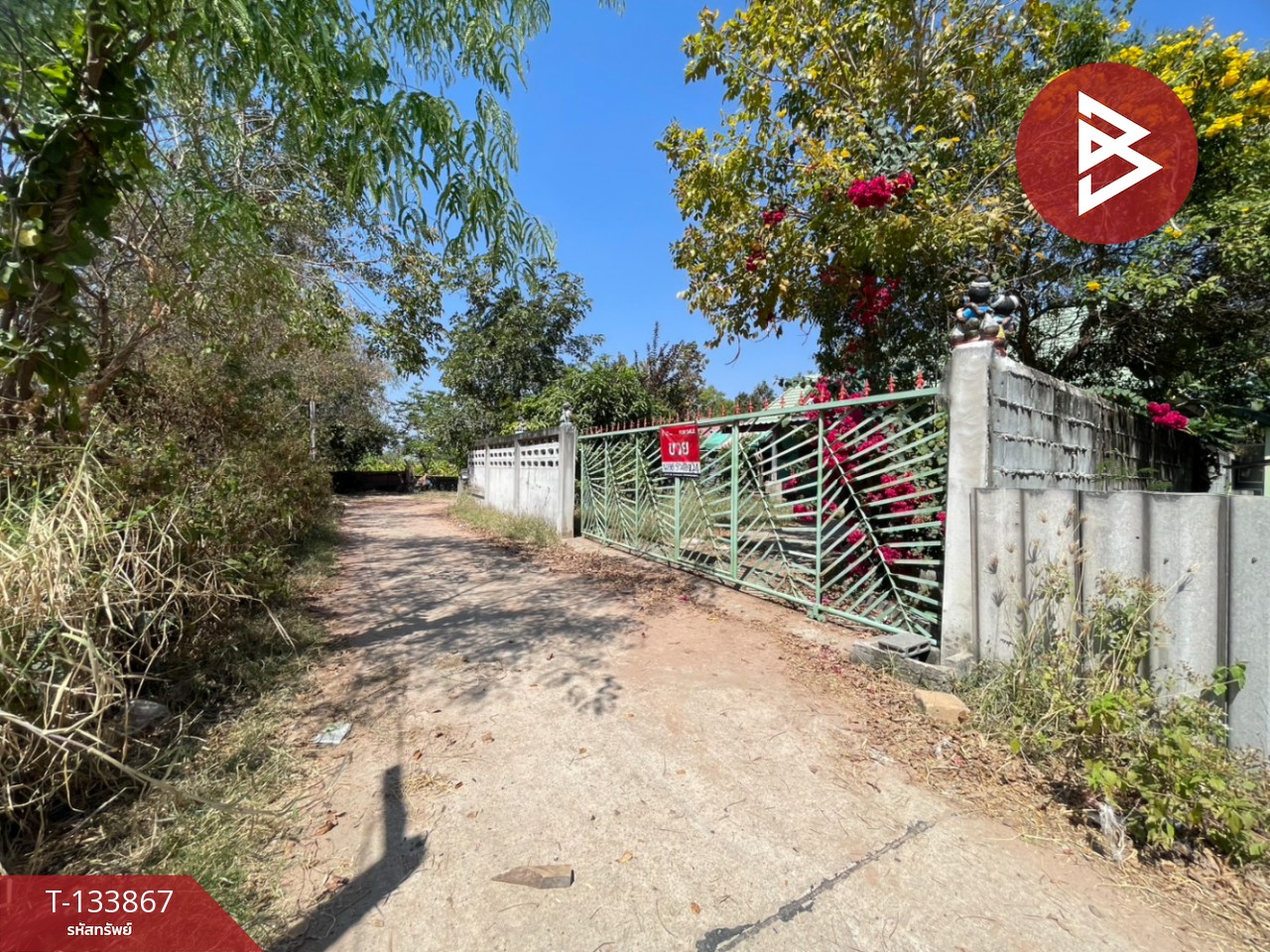 ขายบ้านเดี่ยว เนื้อที่ 1 งาน บ้านไผ่ ขอนแก่น 4