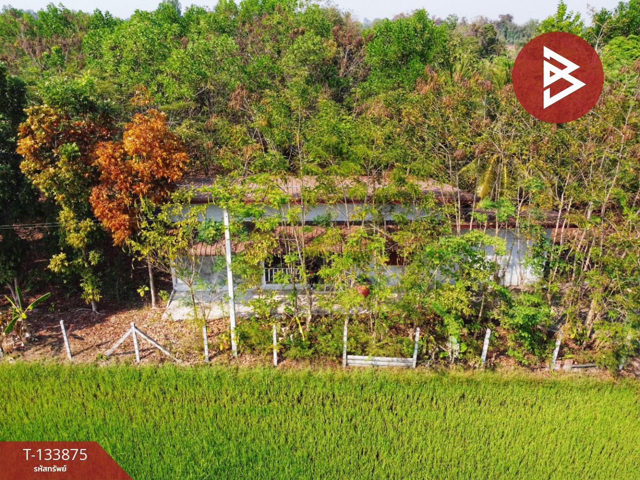 ขายบ้านเดี่ยวพร้อมที่ดิน เนื้อที่ 4 ไร่ 2 งาน 88 ตร.วา หนองฉาง อุทัยธานี 1