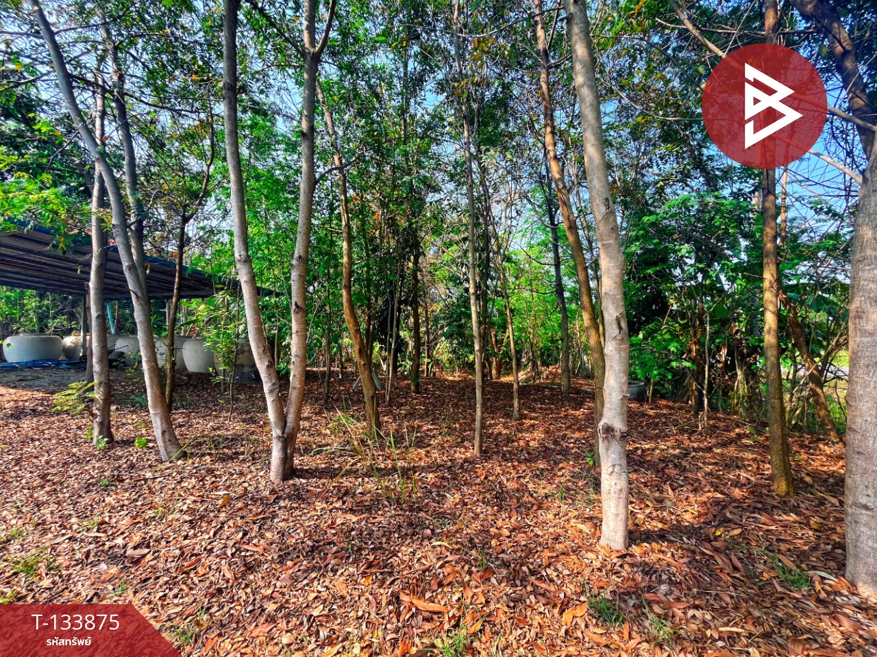 ขายบ้านเดี่ยวพร้อมที่ดิน เนื้อที่ 4 ไร่ 2 งาน 88 ตร.วา หนองฉาง อุทัยธานี 11