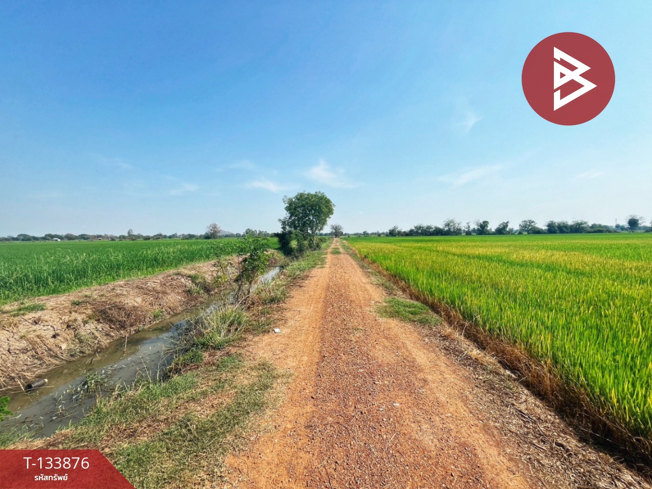 ขายที่ดิน เนื้อที่ 6 ไร่ สรรพยา ชัยนาท 5