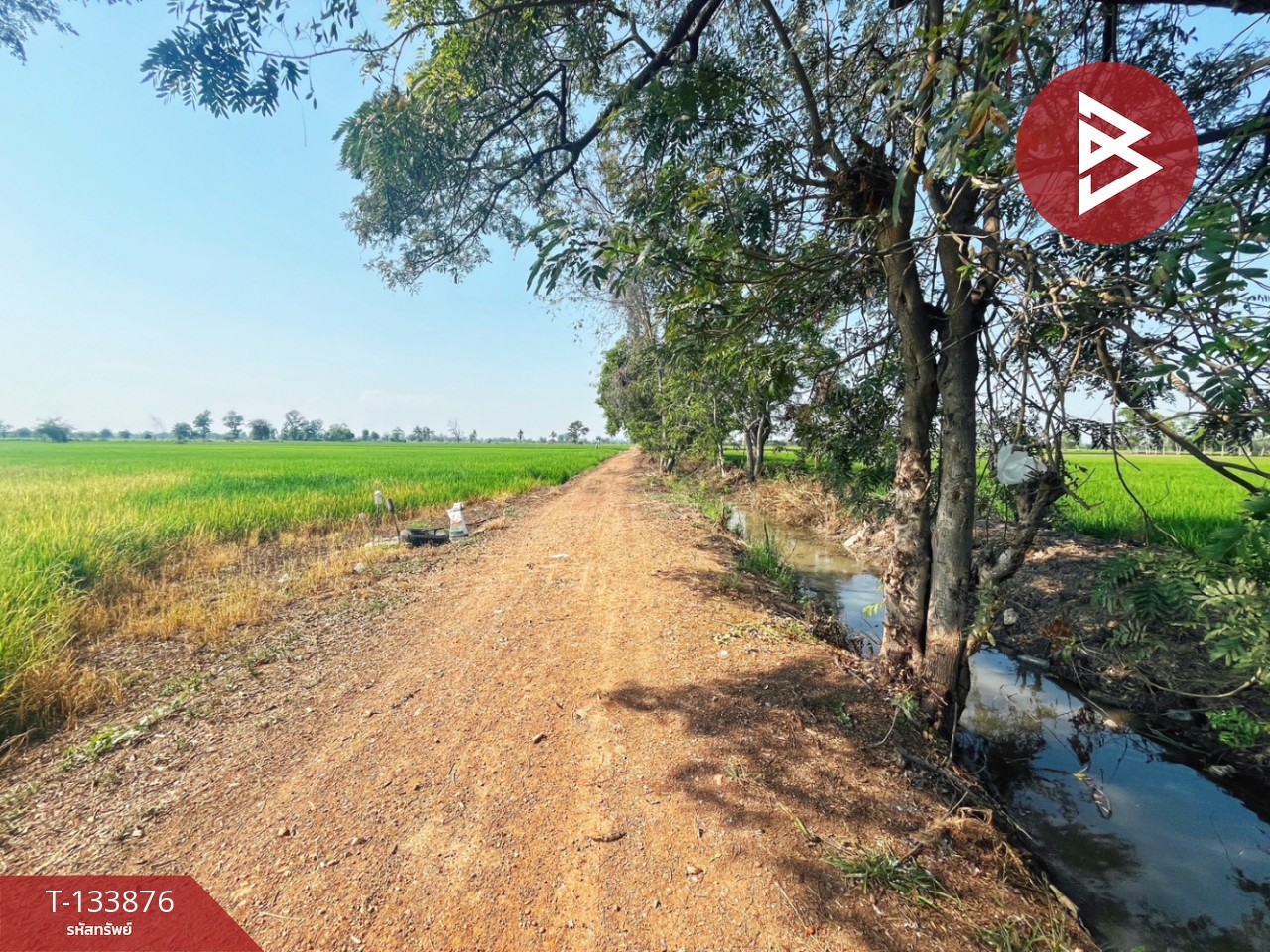 ขายที่ดิน เนื้อที่ 6 ไร่ สรรพยา ชัยนาท 6