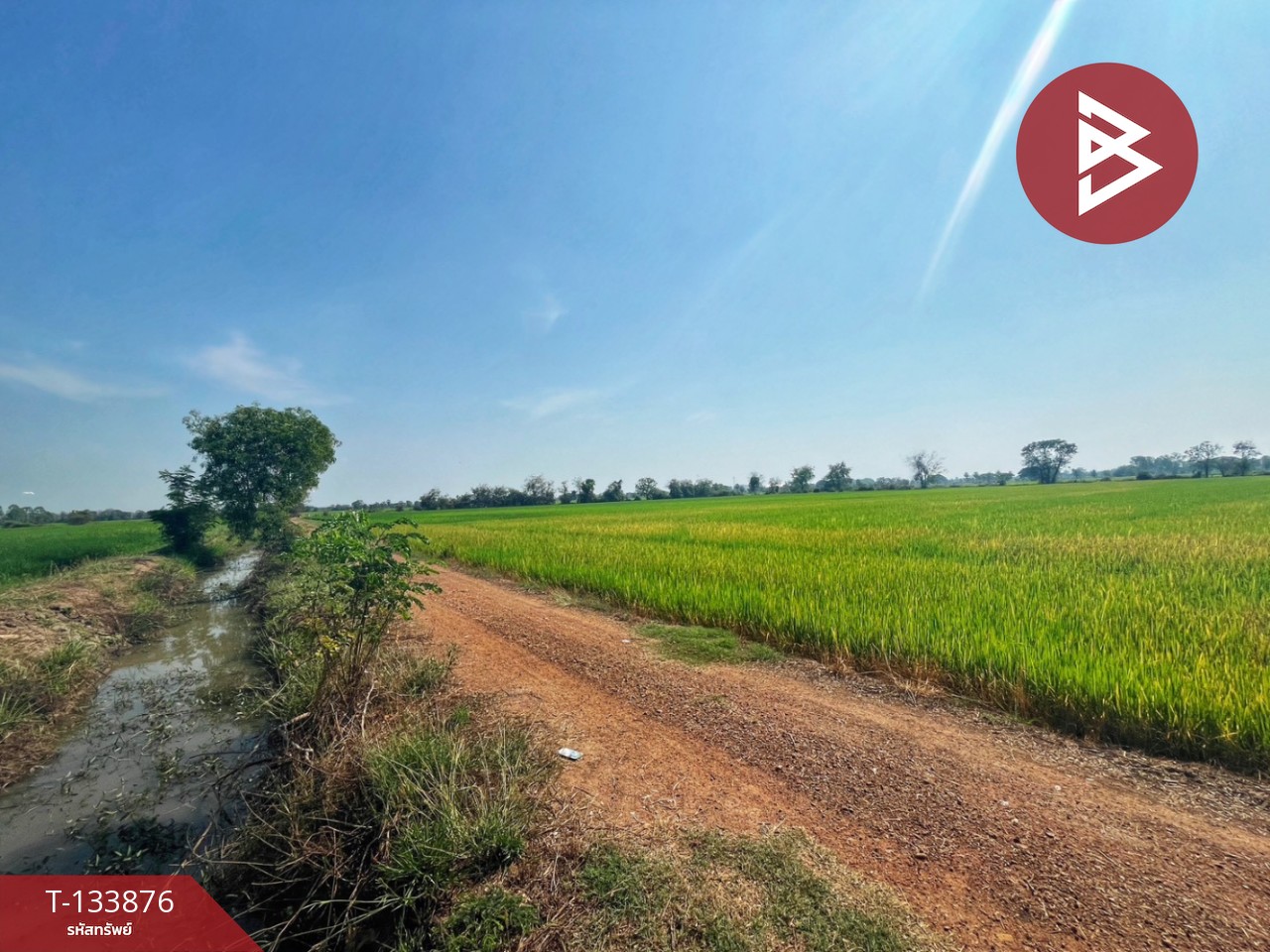 ขายที่ดิน เนื้อที่ 6 ไร่ สรรพยา ชัยนาท 8