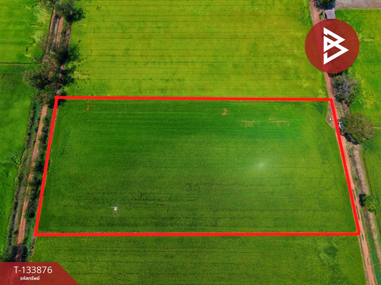 ขายที่ดิน เนื้อที่ 6 ไร่ สรรพยา ชัยนาท 13