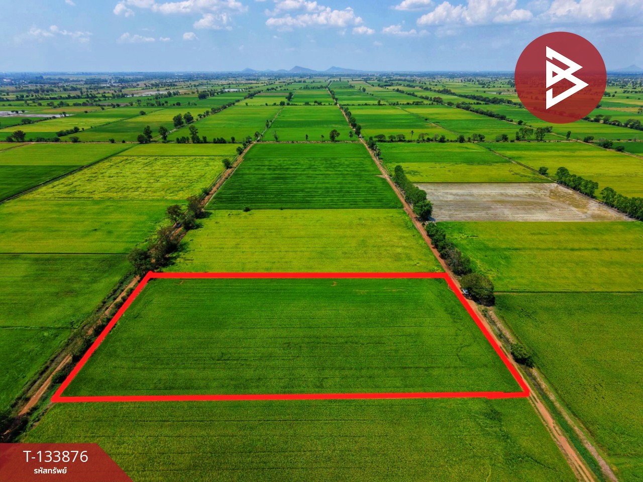 ขายที่ดิน เนื้อที่ 6 ไร่ สรรพยา ชัยนาท 12