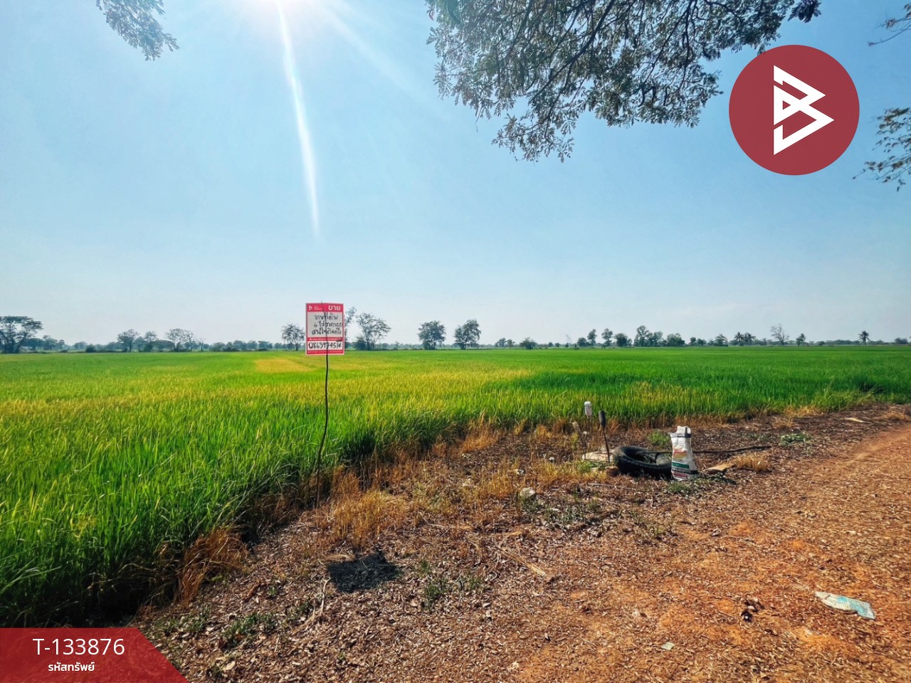 ขายที่ดิน เนื้อที่ 6 ไร่ สรรพยา ชัยนาท 1