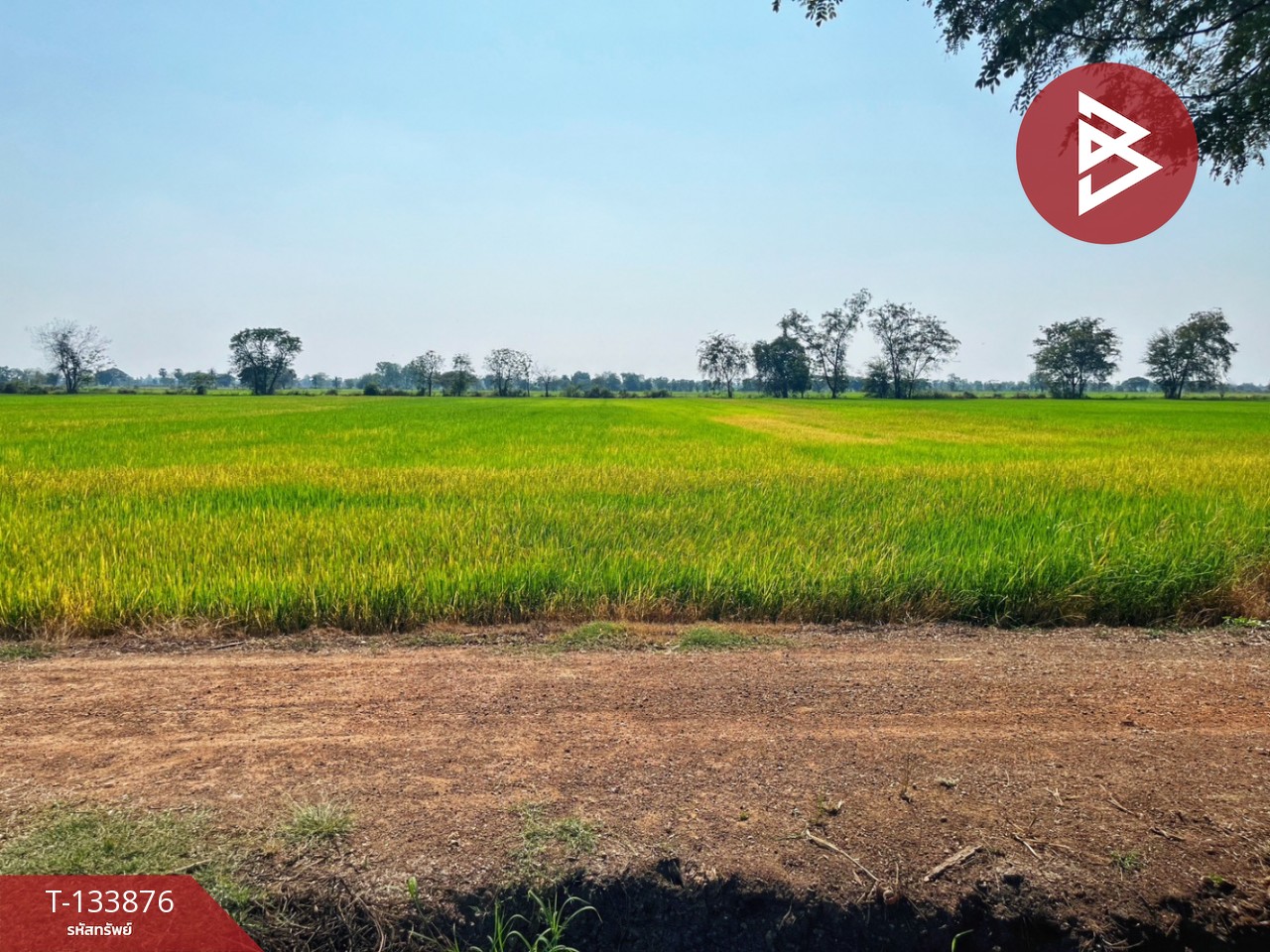 ขายที่ดิน เนื้อที่ 6 ไร่ สรรพยา ชัยนาท 7