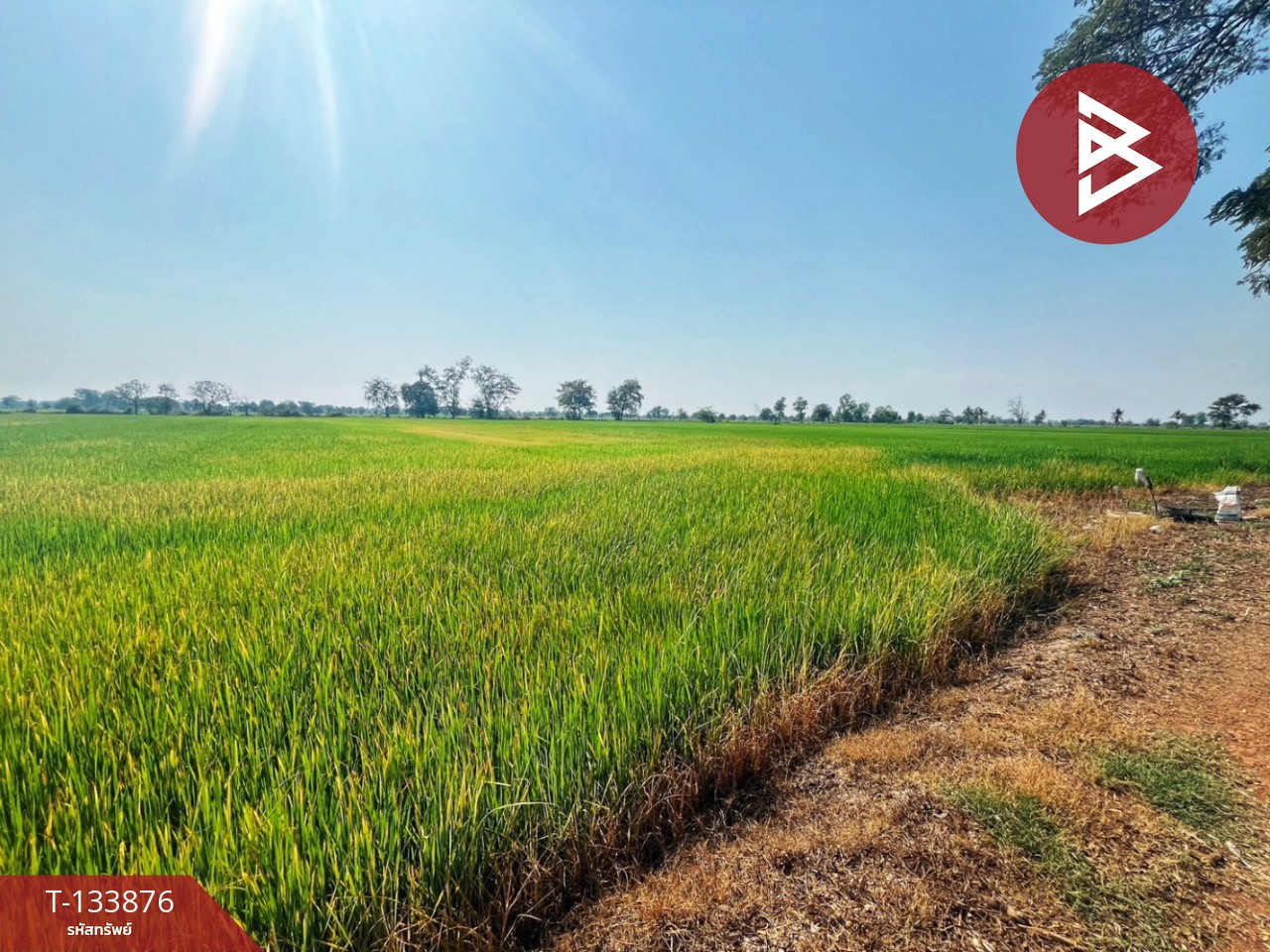 ขายที่ดิน เนื้อที่ 6 ไร่ สรรพยา ชัยนาท 4