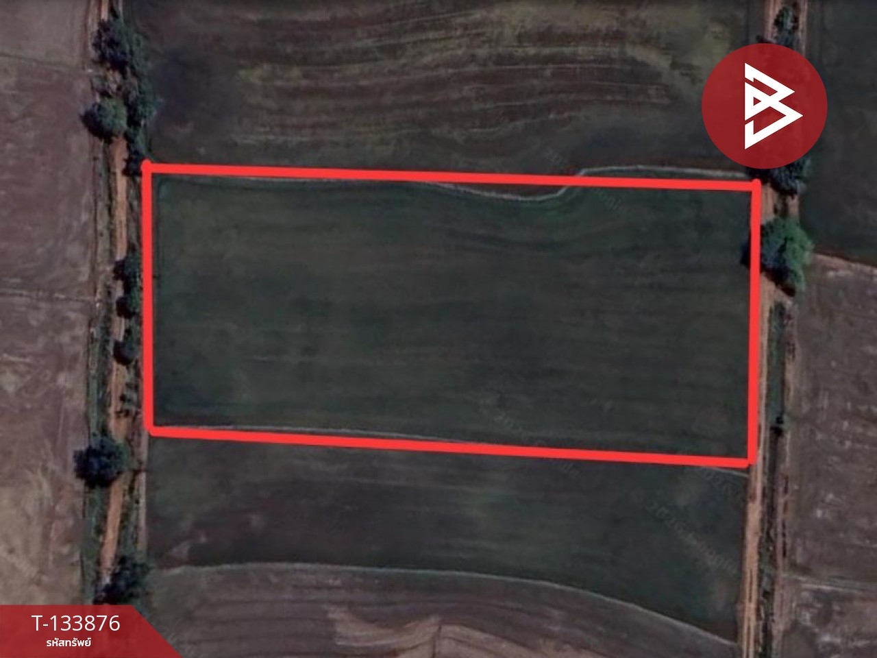 ขายที่ดิน เนื้อที่ 6 ไร่ สรรพยา ชัยนาท 11