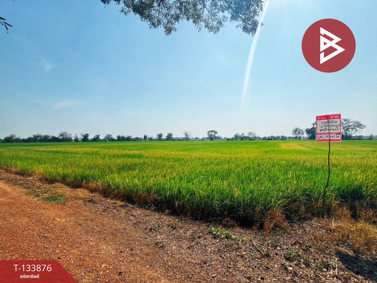 ขายที่ดิน เนื้อที่ 6 ไร่ สรรพยา ชัยนาท 9