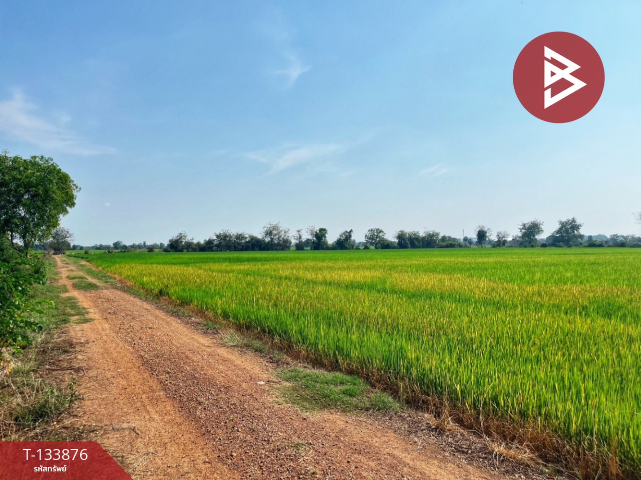 ขายที่ดิน เนื้อที่ 6 ไร่ สรรพยา ชัยนาท 3