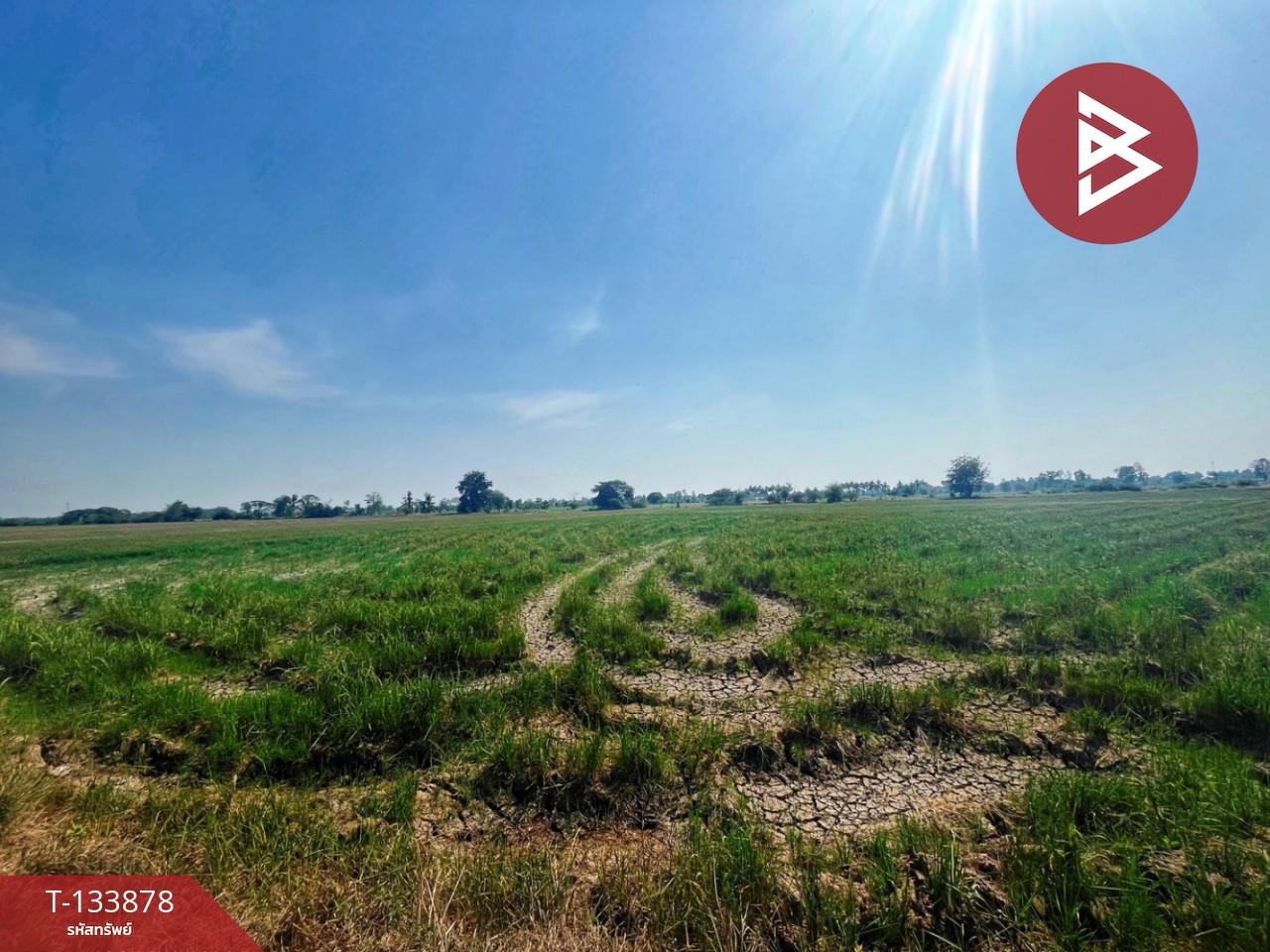 ขายที่ดิน เนื้อที่ 8 ไร่ 2 งาน 62 ตร.วา สรรพยา ชัยนาท 2