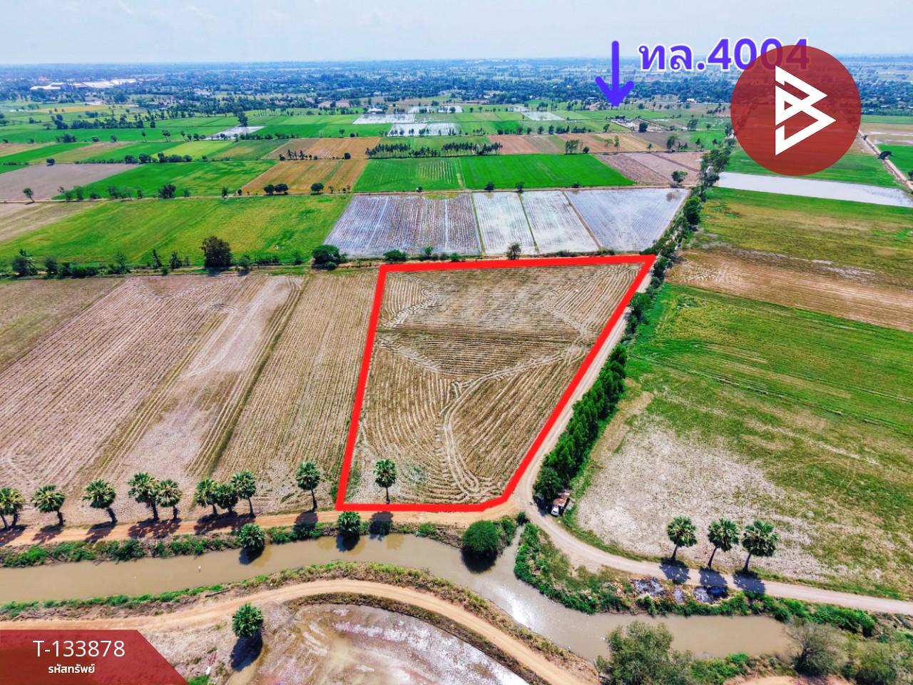 ขายที่ดิน เนื้อที่ 8 ไร่ 2 งาน 62 ตร.วา สรรพยา ชัยนาท 12