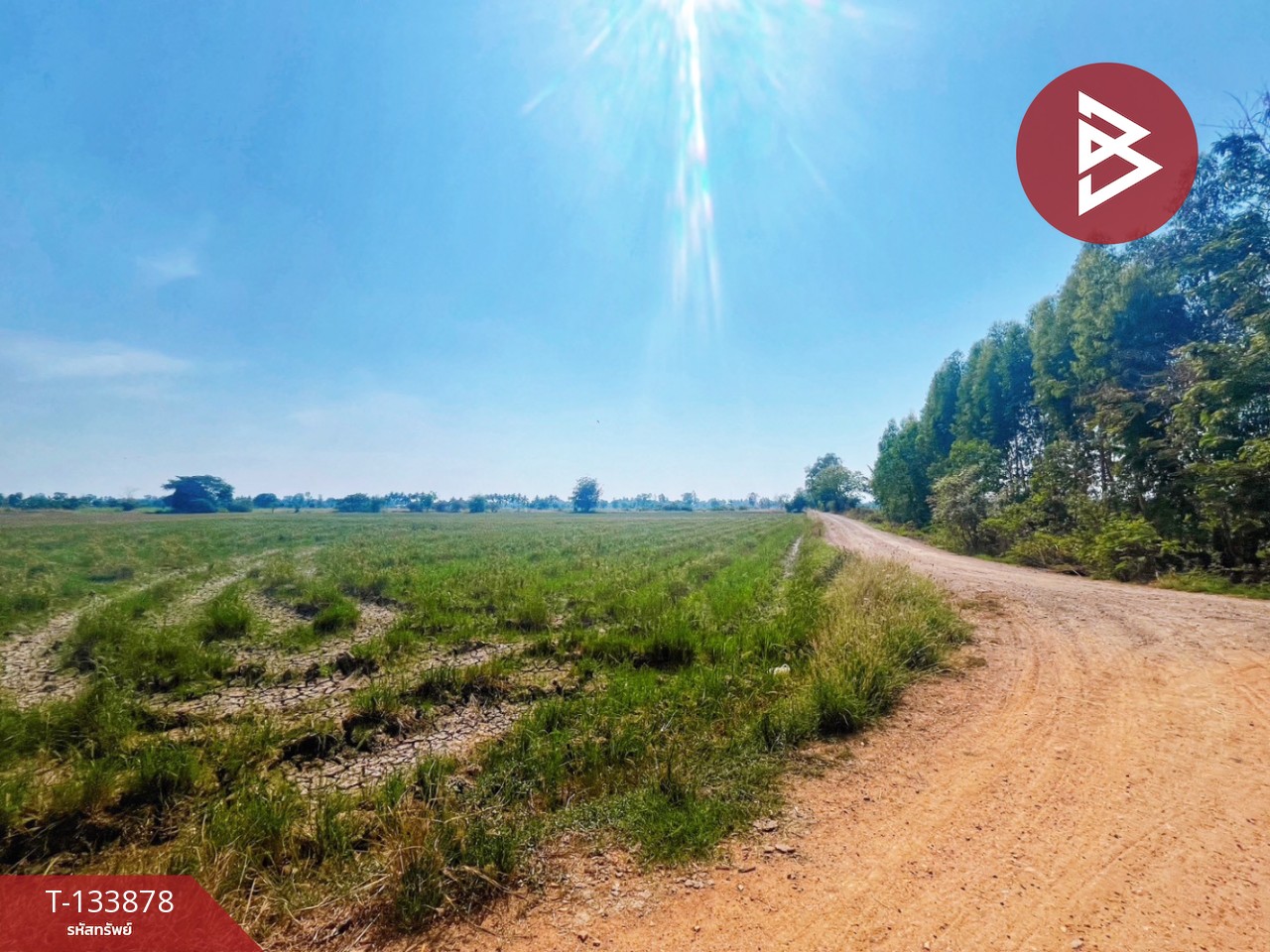 ขายที่ดิน เนื้อที่ 8 ไร่ 2 งาน 62 ตร.วา สรรพยา ชัยนาท 3