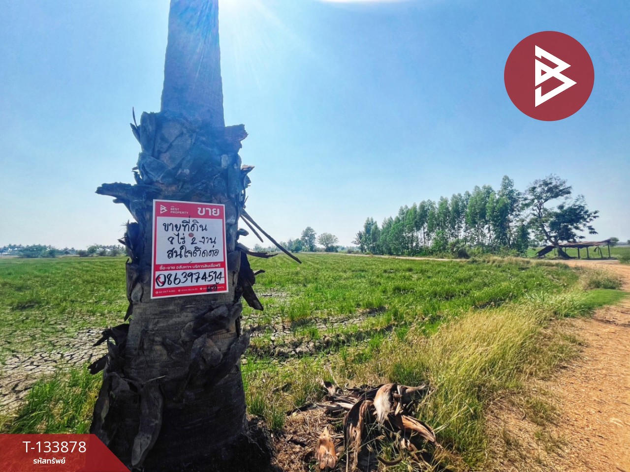 ขายที่ดิน เนื้อที่ 8 ไร่ 2 งาน 62 ตร.วา สรรพยา ชัยนาท 4