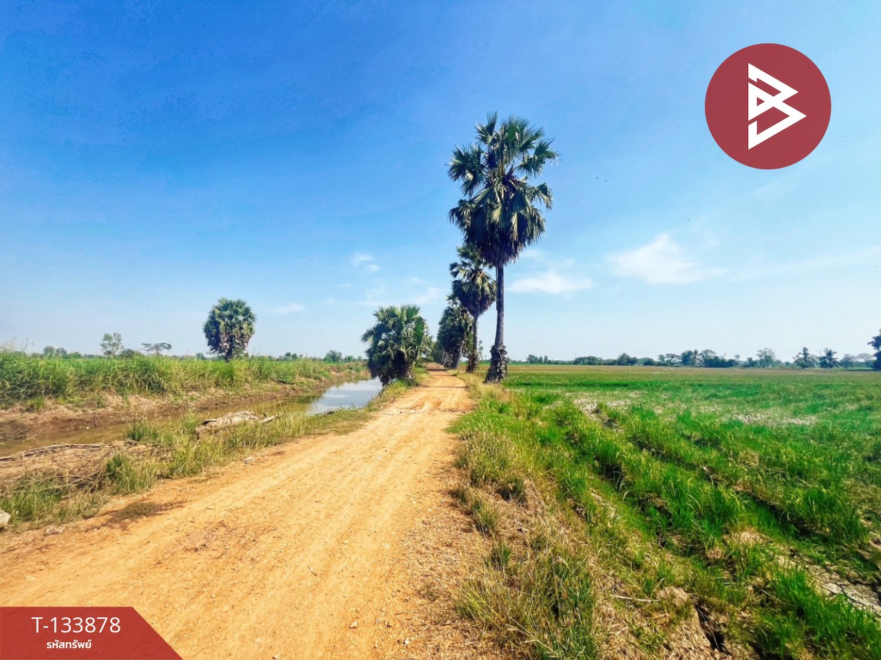 ขายที่ดิน เนื้อที่ 8 ไร่ 2 งาน 62 ตร.วา สรรพยา ชัยนาท 9