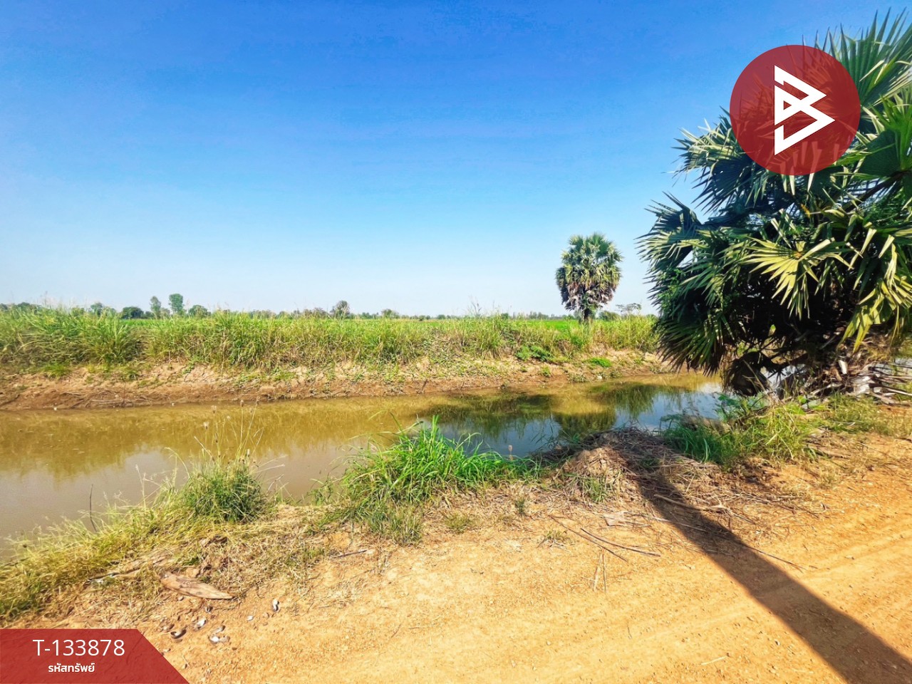 ขายที่ดิน เนื้อที่ 8 ไร่ 2 งาน 62 ตร.วา สรรพยา ชัยนาท 10