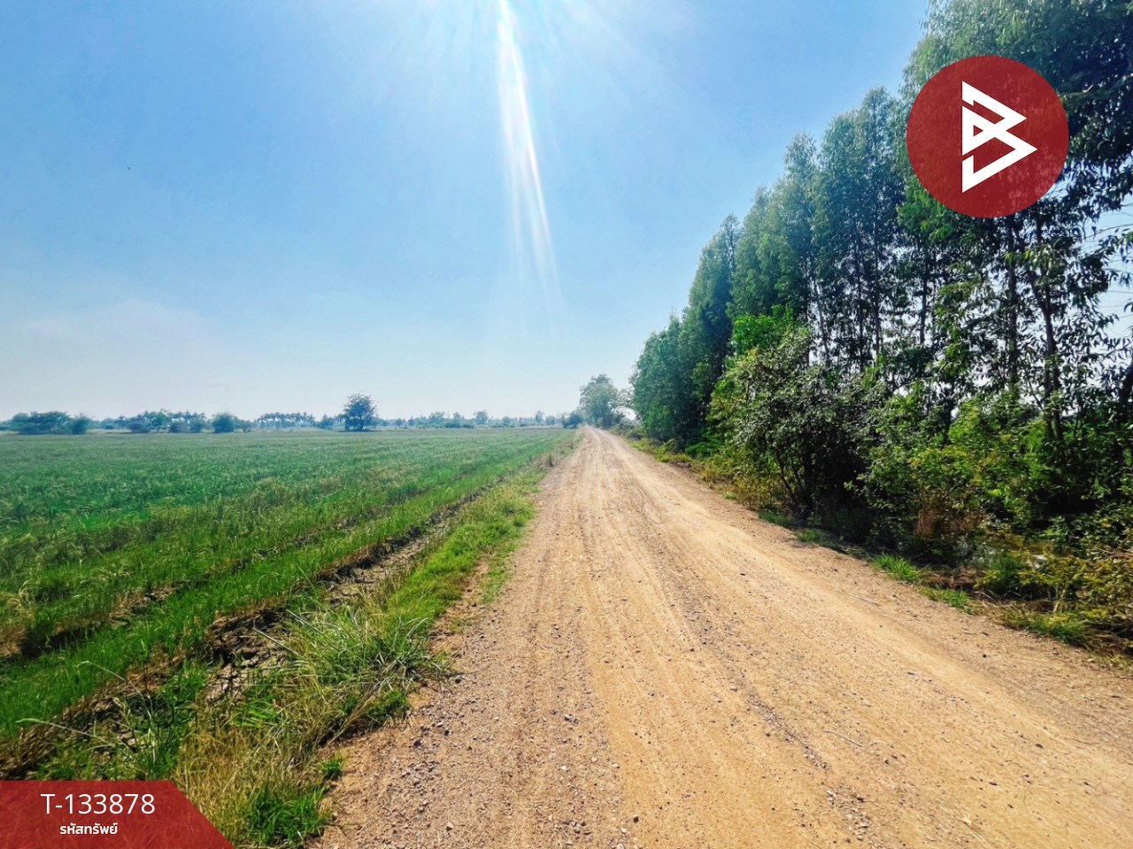 ขายที่ดิน เนื้อที่ 8 ไร่ 2 งาน 62 ตร.วา สรรพยา ชัยนาท 8
