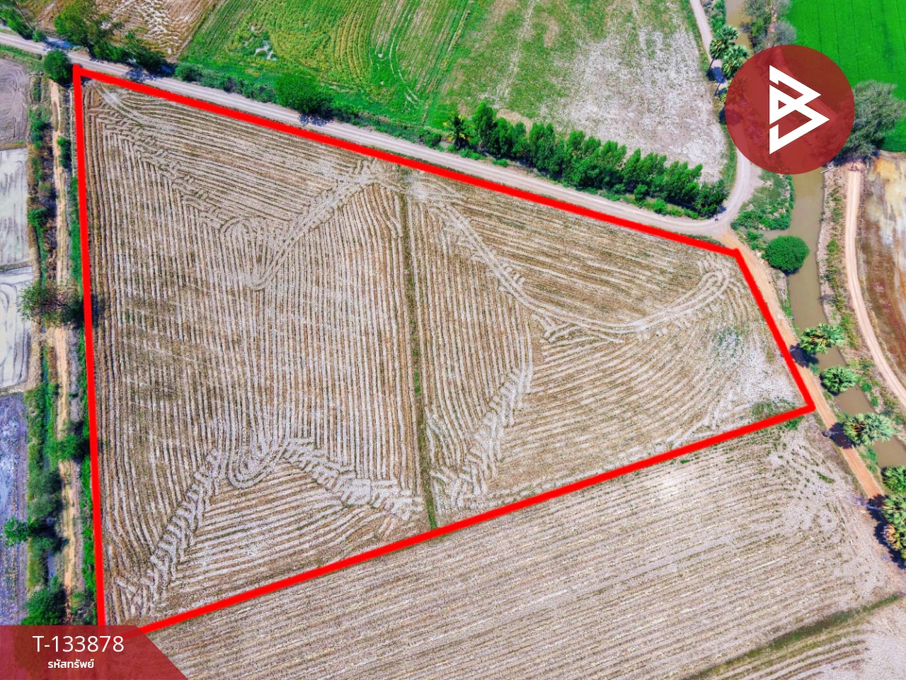 ขายที่ดิน เนื้อที่ 8 ไร่ 2 งาน 62 ตร.วา สรรพยา ชัยนาท 13