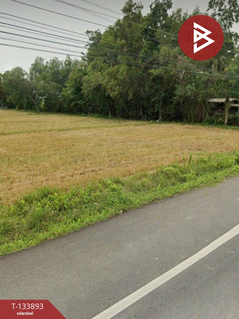 ขายที่ดิน เนื้อที่ 1 ไร่ 3 งาน 54 ตร.วา ระโนด สงขลา 2