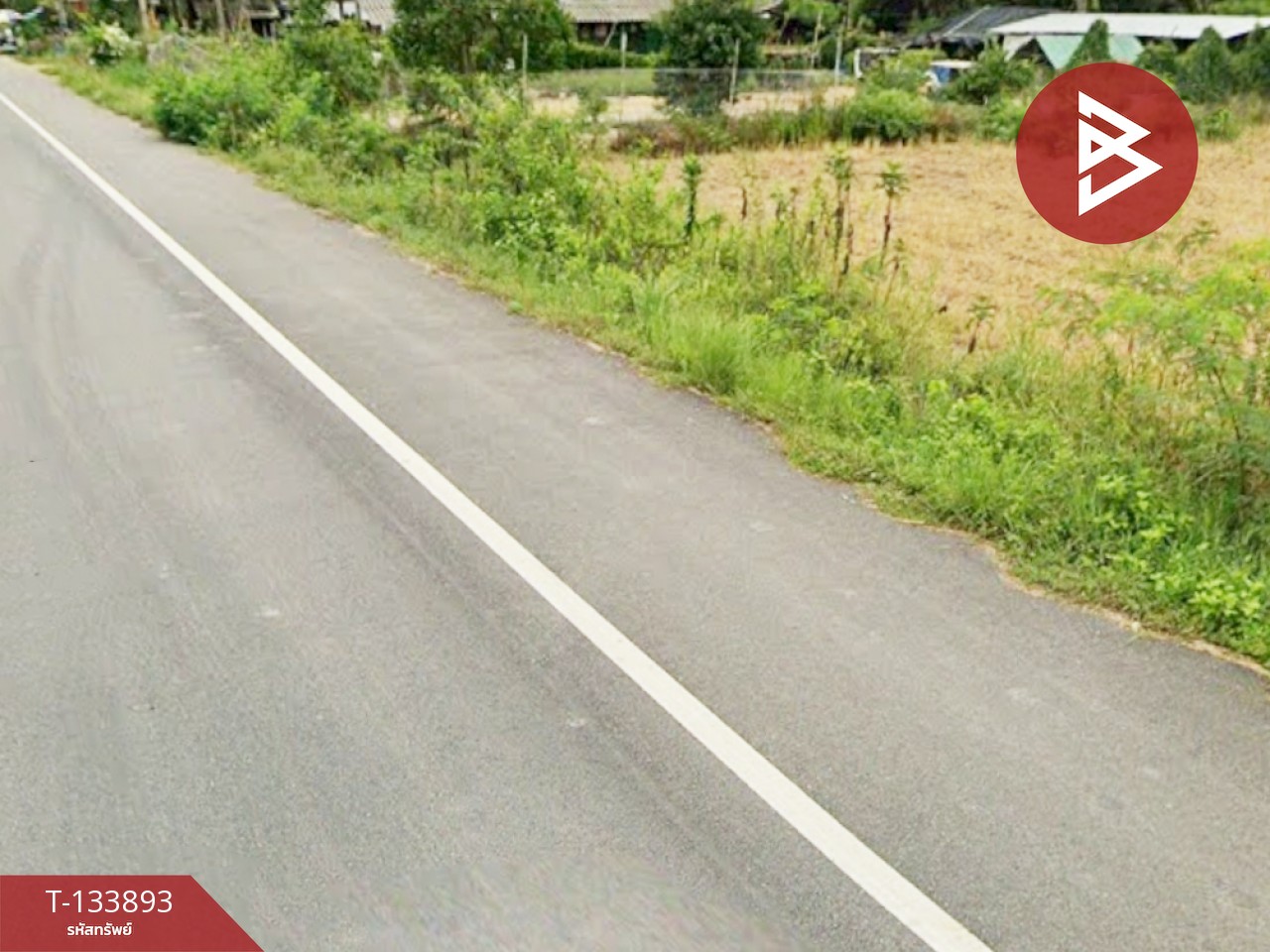 ขายที่ดิน เนื้อที่ 1 ไร่ 3 งาน 54 ตร.วา ระโนด สงขลา 4