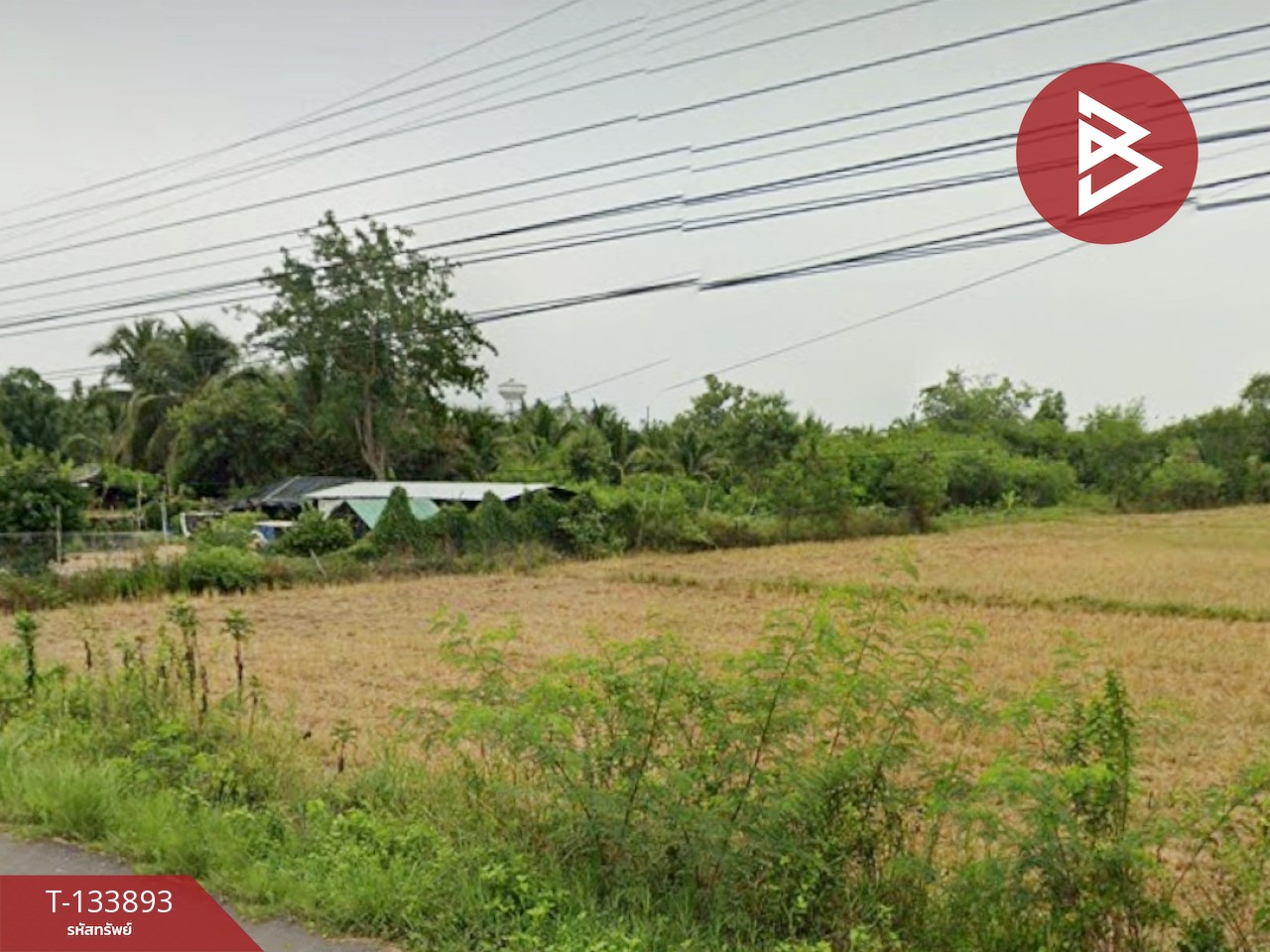 ขายที่ดิน เนื้อที่ 1 ไร่ 3 งาน 54 ตร.วา ระโนด สงขลา 3