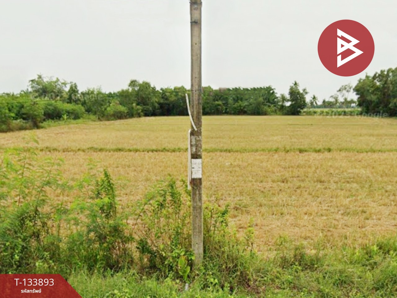 ขายที่ดิน เนื้อที่ 1 ไร่ 3 งาน 54 ตร.วา ระโนด สงขลา 1