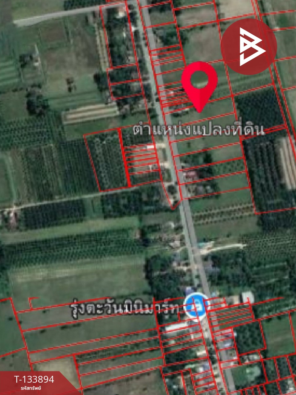 ขายที่ดิน เนื้อที่ 3 ไร่ 3 งาน 6 ตร.วา ระโนด สงขลา 4