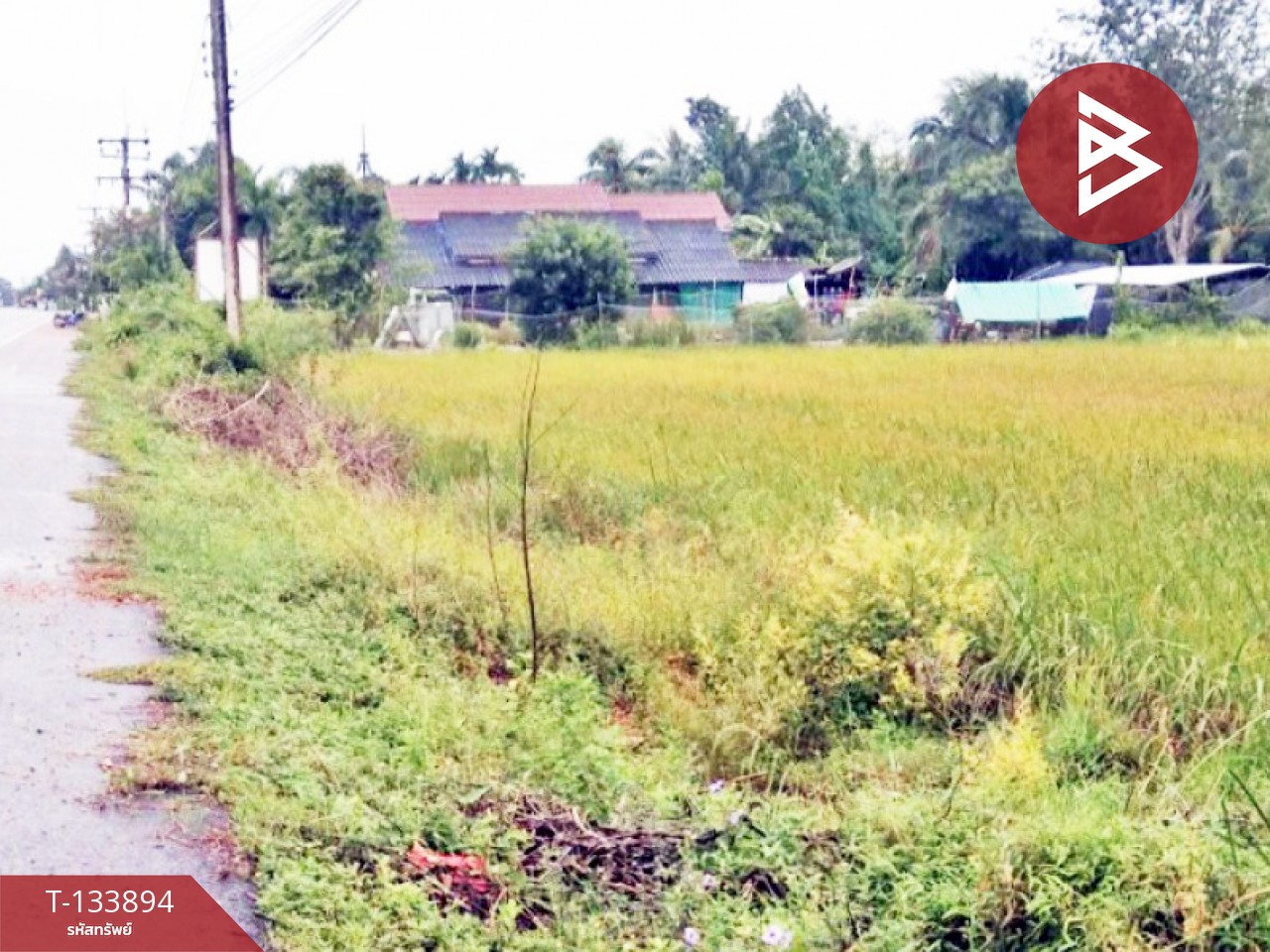 ขายที่ดิน เนื้อที่ 3 ไร่ 3 งาน 6 ตร.วา ระโนด สงขลา 2