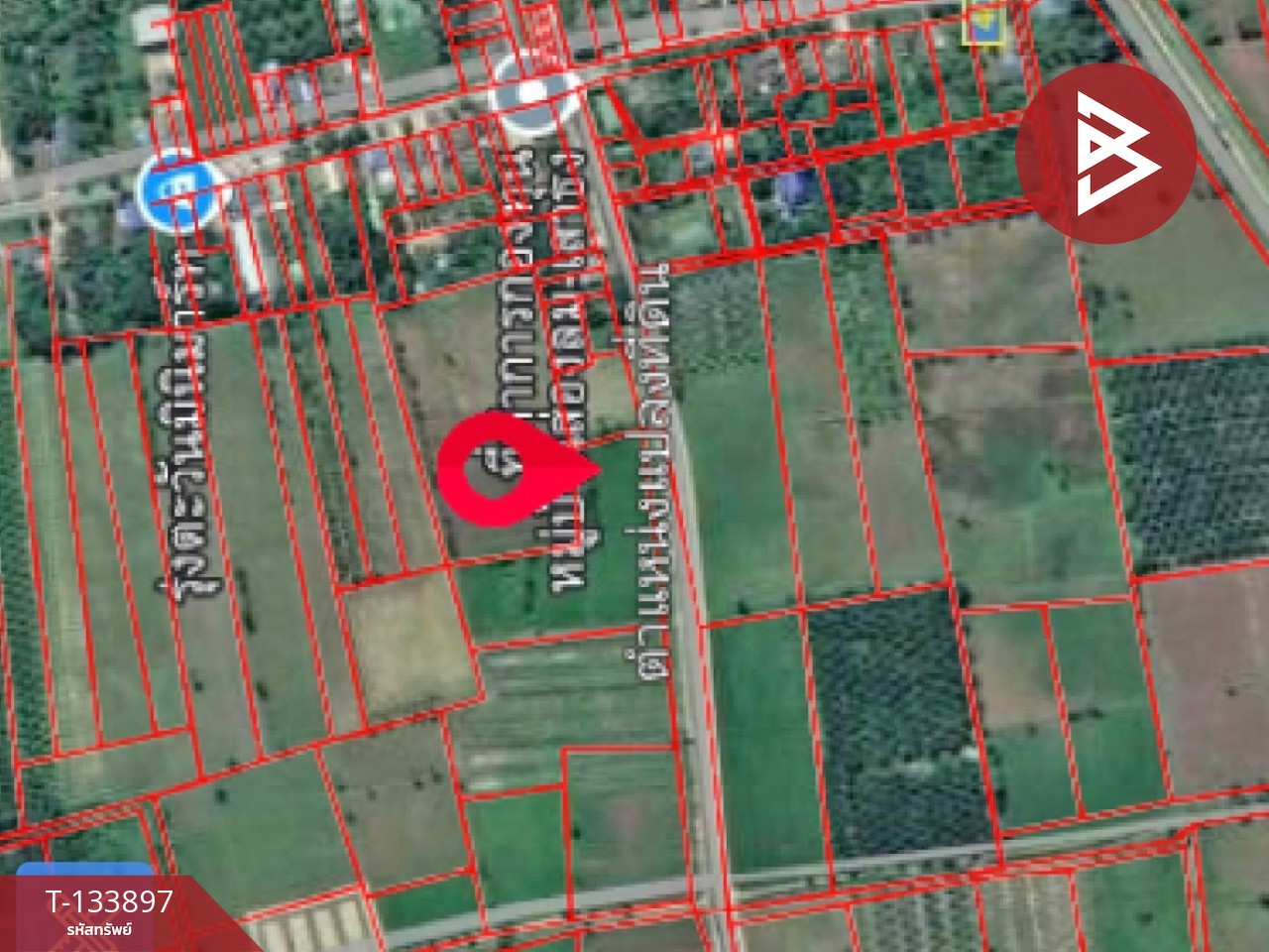 ขายที่ดิน เนื้อที่ 7 ไร่ 88 ตารางวา อำเภอระโนด สงขลา 6