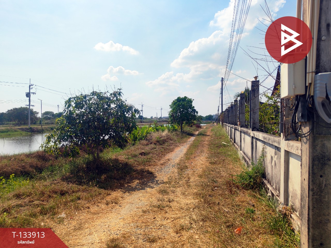 ขายที่ดินพร้อมสิ่งปลูกสร้าง เนื้อที่ 1 ไร่ 70 ตร.วา บ้านโพธิ์ ฉะเชิงเทรา 12