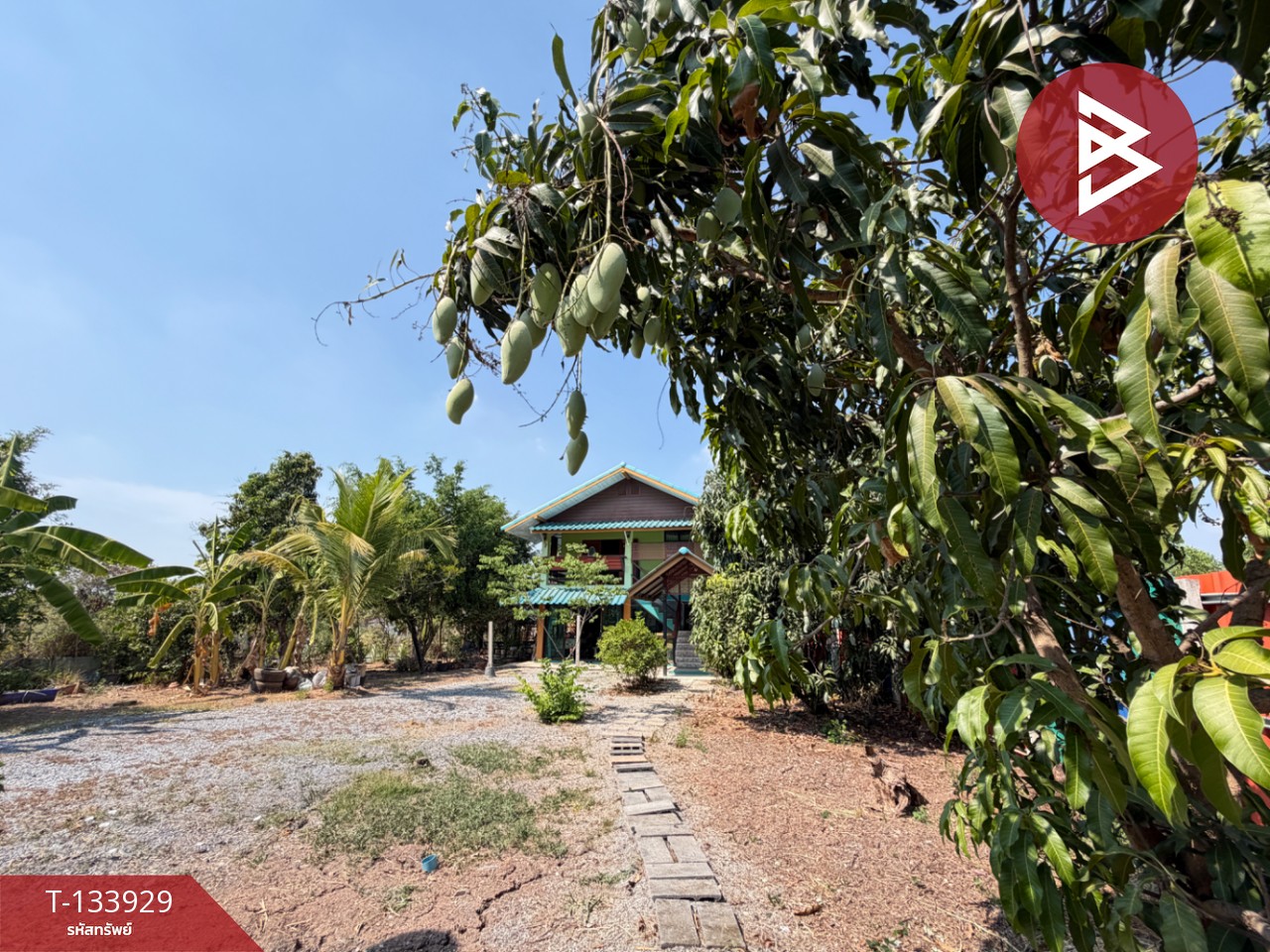 ขายบ้านเดี่ยว เนื้อที่ 1 ไร่ 2.1 ตร.วา หนองแค สระบุรี 11