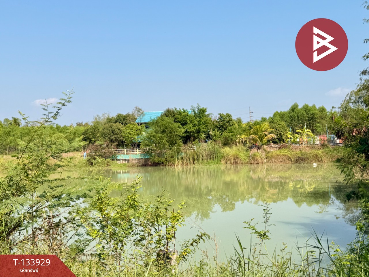 ขายบ้านเดี่ยว เนื้อที่ 1 ไร่ 2.1 ตร.วา หนองแค สระบุรี 15