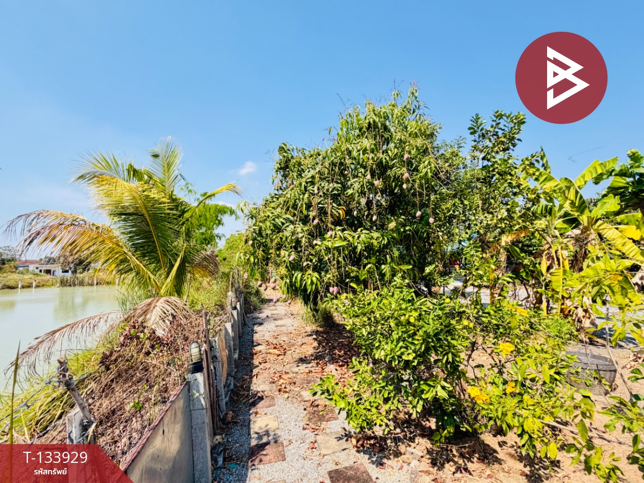 ขายบ้านเดี่ยว เนื้อที่ 1 ไร่ 2.1 ตร.วา หนองแค สระบุรี 12