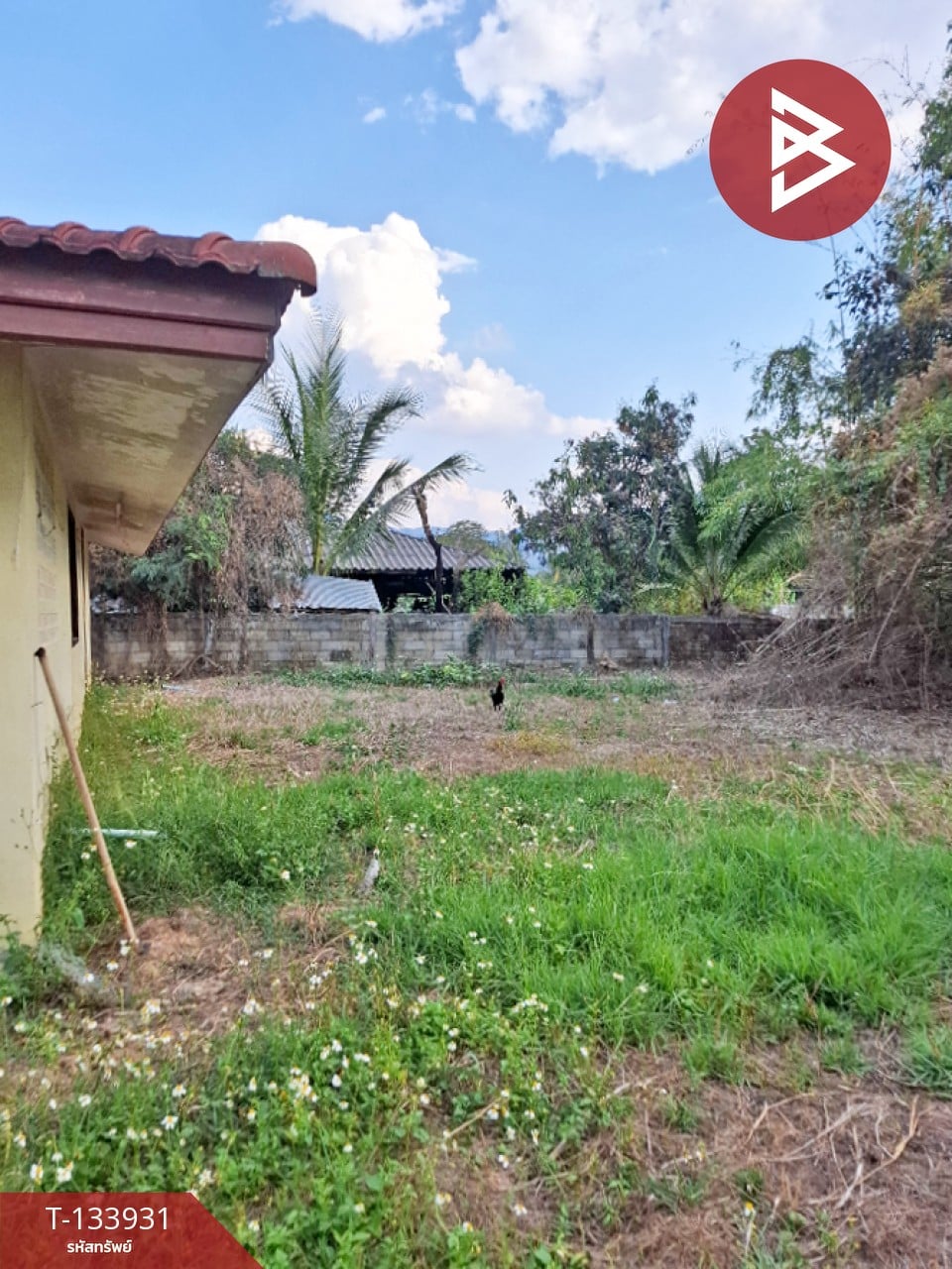 ขายบ้านเดี่ยวชั้นเดียว เนื้อที่ 2 งาน 56.3 ตร.วา ขุนตาล เชียงราย 11