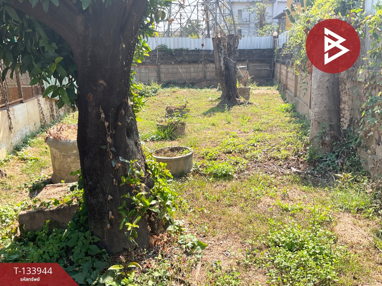 ขายที่ดินพร้อมสิ่งปลูกสร้าง เนื้อที่ 2 งาน 9 ตร.วา หนองหอย เชียงใหม่ 10