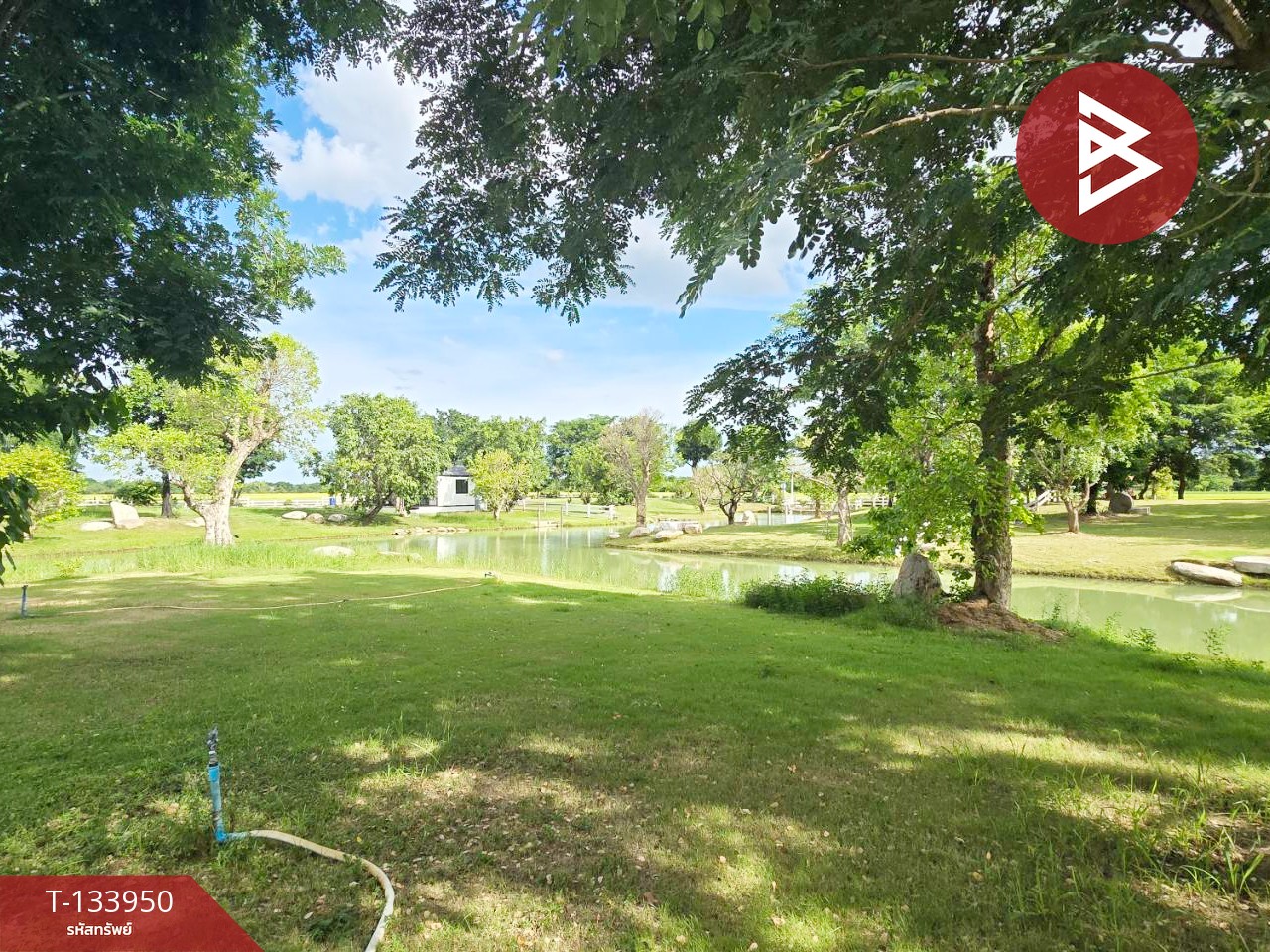 ขายที่ดิน เนื้อที่ 1 ไร่ 5.2 ตร.วา บ้านยาง นครปฐม 5