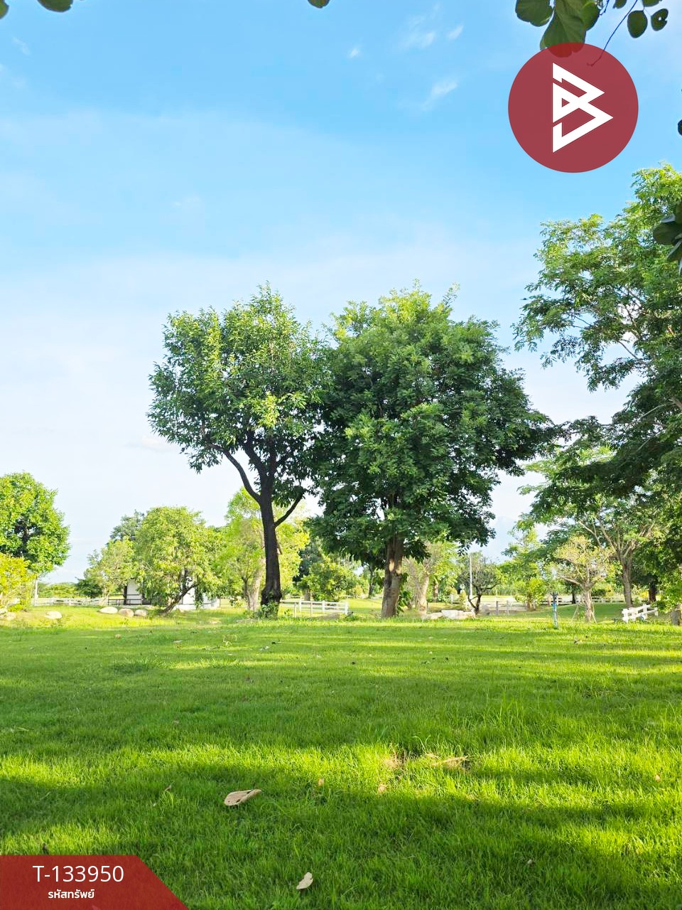 ขายที่ดิน เนื้อที่ 1 ไร่ 5.2 ตร.วา บ้านยาง นครปฐม 10