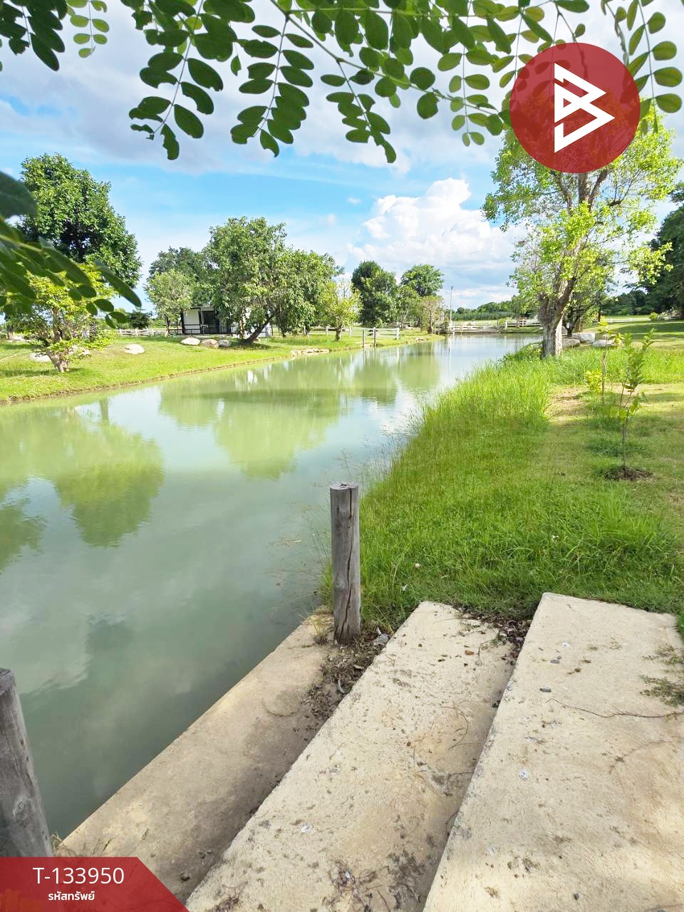 ขายที่ดิน เนื้อที่ 1 ไร่ 5.2 ตร.วา บ้านยาง นครปฐม 8